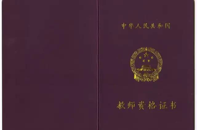 教师资格证书长啥样，编号又有什么意义呢？